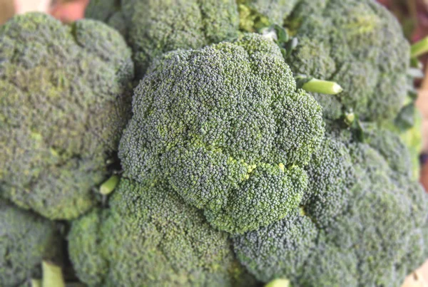 Vegeterian healthy green salad broccoli in supermarket