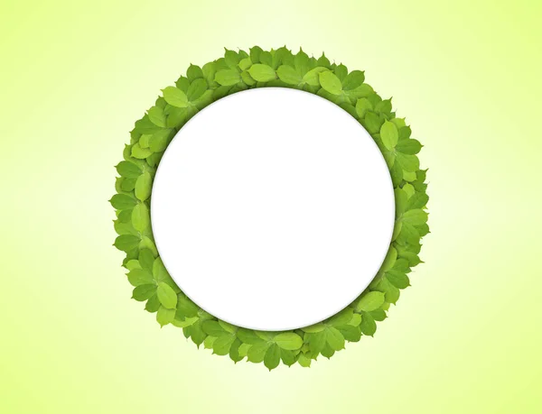 Círculo de papel blanco hecho de hojas verdes —  Fotos de Stock