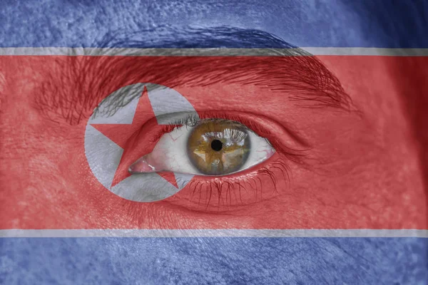 北朝鮮の旗で塗りつぶされた顔と目 — ストック写真