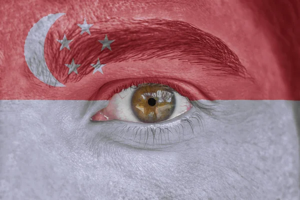 Human face and eye painted with flag of Singapore — Stock Photo, Image