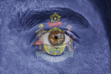 İnsan yüz ve göz bizimle Maine Eyalet bayrağı boyalı