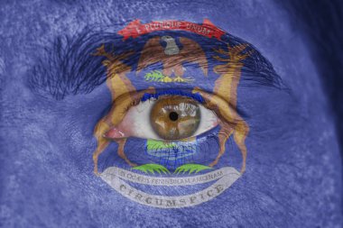 İnsan yüz ve göz bizimle Michigan Devlet bayrağı boyalı