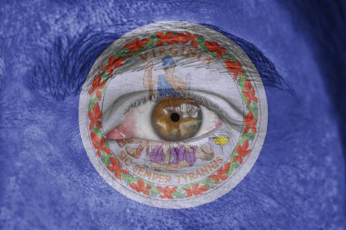 İnsan yüz ve göz bizimle Virginia devlet bayrağı boyalı