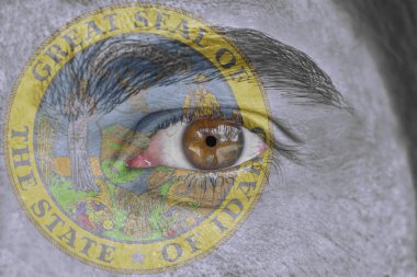 İnsan yüz ve göz bizimle devlet mührü bayrağı Idaho boyalı