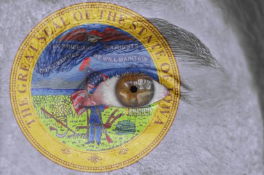 İnsan yüz ve göz bizimle devlet mührü bayrağı Iowa boyalı