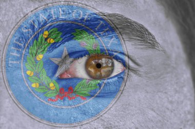 İnsan yüz ve göz bizimle Texas devlet mührü bayrağı boyalı