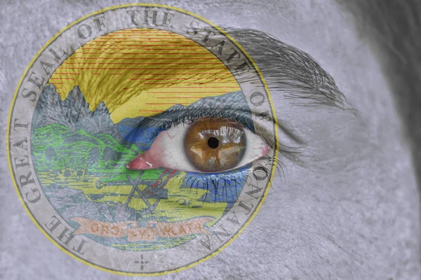 İnsan yüz ve göz bizimle devlet mührü bayrağı Montana boyalı