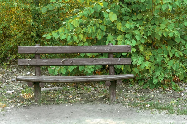 Holzbank im Wald mit grünem Blatthintergrund — Stockfoto