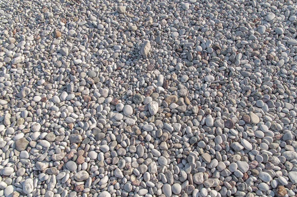 Grande textura de pebble pedra pequena natureza na praia no dia ensolarado — Fotografia de Stock