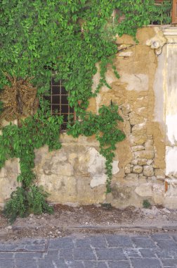 Terk edilmiş sarı blok çimento evinde eski Ivy pencere