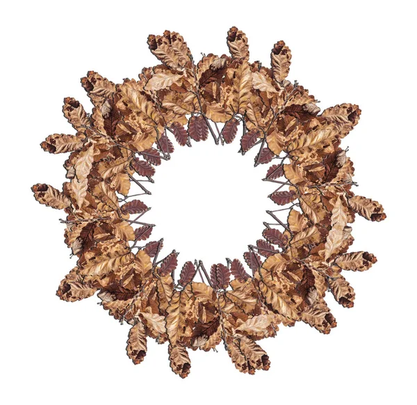 Sonbahar daire üzerinde beyaz izole kahverengi ağaç yaprakları yapılmış