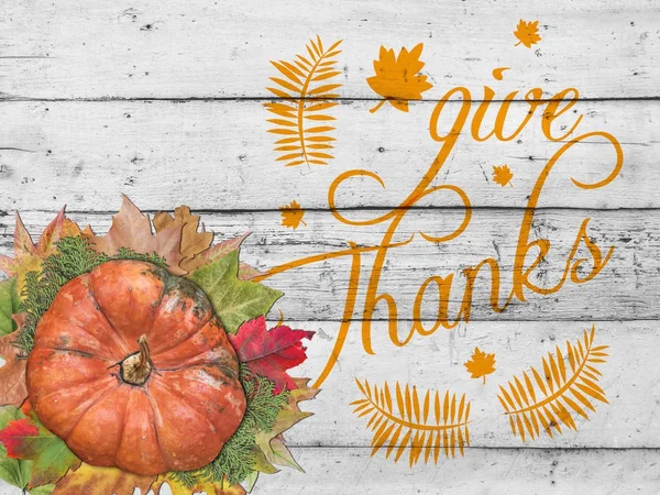 Give thanks with pumpkin and autumn leaves for thanksgiving day
