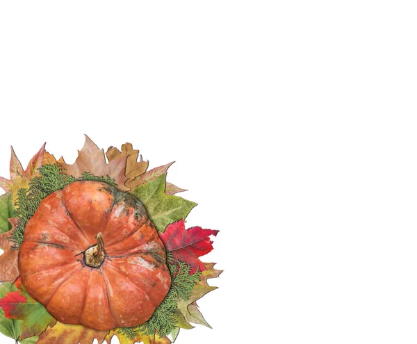 Abóbora e folhas de outono para o dia de ação de graças isolado no branco — Fotografia de Stock