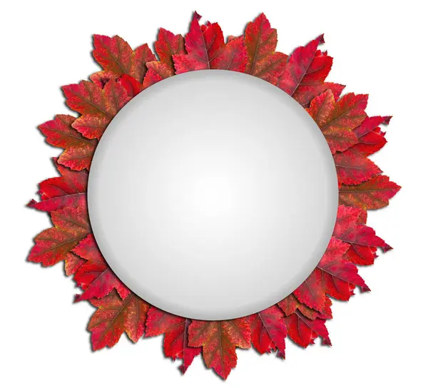 Red leaves in circle with white shape on white background — Stock Photo, Image