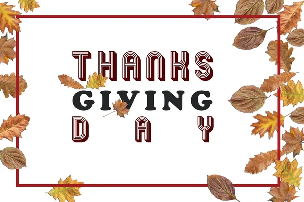 Thanks Giving Day with several leaves with bordo frame on white