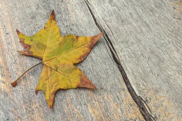 Zelené a žluté podzimní listí na stůl dřevěný park — Stock fotografie