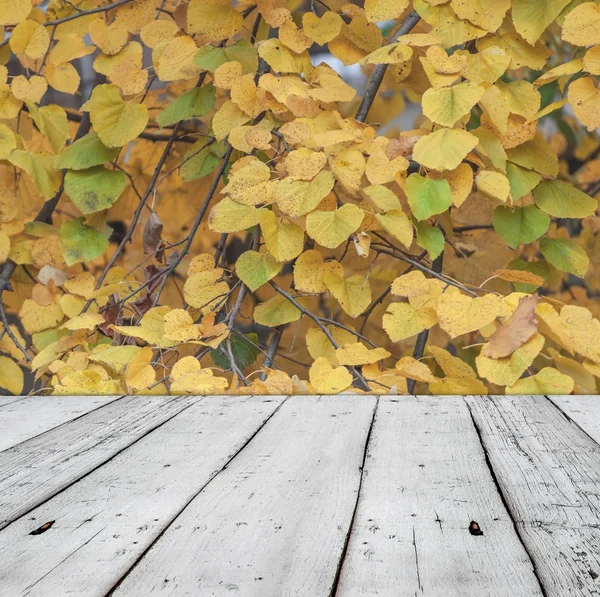 ツリー秋の自然の壁紙が白の木製テラスがあるフォーム都市公園を葉します。 — ストック写真