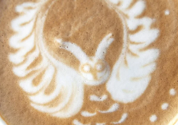 Sowa cappuccino latte art świeżym espresso kubek napój Zamknij makro — Zdjęcie stockowe