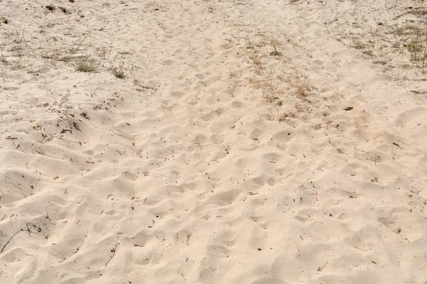 Praia Com Grandes Dunas Areia Pequena Grama Marram — Fotografia de Stock