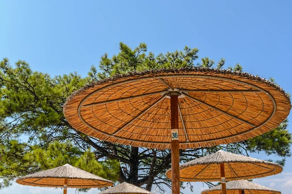 Big wooden umbrella on the beach with tree and sky background