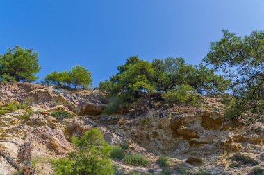 Ağaçlar ve açık mavi gökyüzü ile dağlık deniz kıyısı