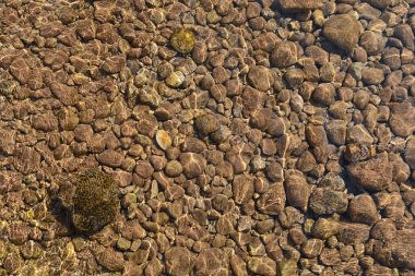 Okyanustaki deniz taşları