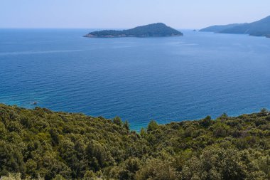 Yeşil ağaçlı deniz ve mavi gökyüzü, tepeden manzara