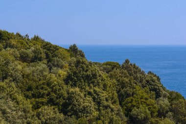 Deniz ve temiz mavi gökyüzü yeşil ağaçlarla, tepeden manzara