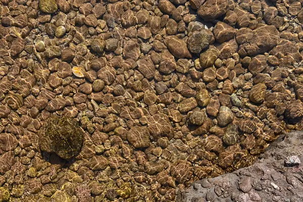 Okyanustaki deniz taşları yakın plan