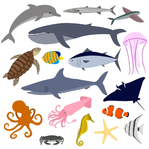 Set van zeeleven. Vis, walvis, octopus, sea turtle, krab, haai, dolfijn, seahorse en anderen. — Stockvector