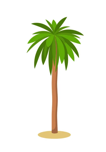 棕榈树. — 图库矢量图片