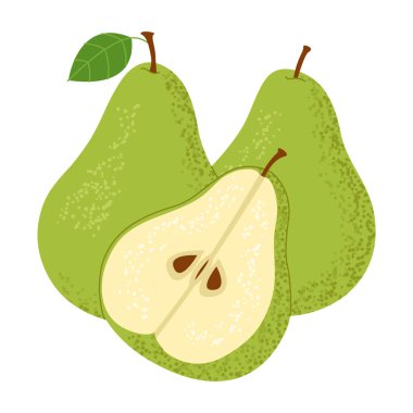 Taze olgun yeşil armutlar, ikiye bölünmüş, dilimlenmiş. Beyaz arka planda izole edilmiş. Vektör illüstrasyonu.