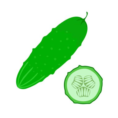 Salatalık. Bir dilim salatalık.. 