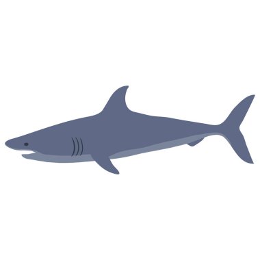 Köpekbalığı. Vektör çizim