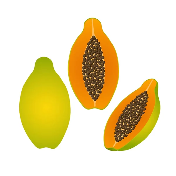 Papaya. Frutas enteras y otros — Vector de stock