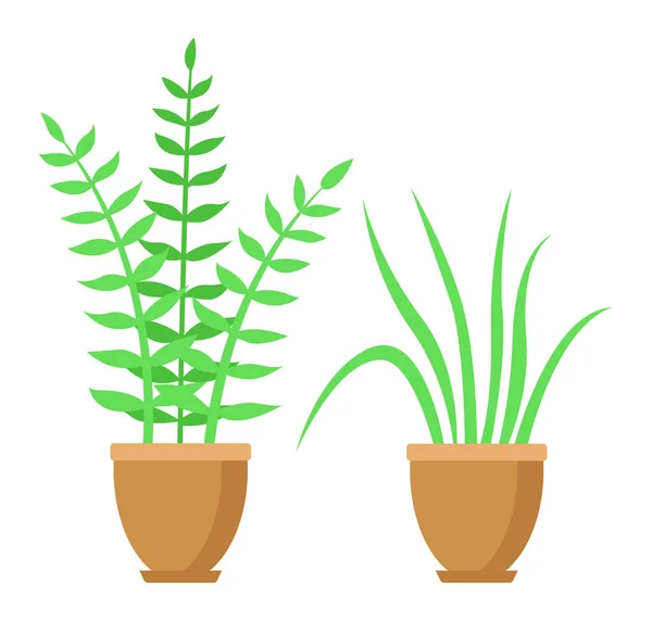 Potted Plants Pots Isolated White Background Flat Design Vector Illustration — Stock Vector