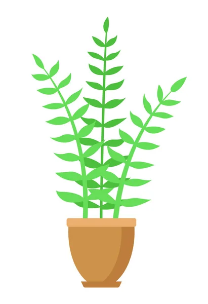 Plant Potted Plant Flat Design Isolated White Background Vector Illustration — Stock Vector
