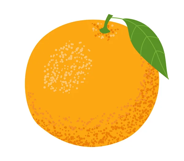 Frutto Arancione Con Una Foglia Isolato Uno Sfondo Bianco Illustrazione — Vettoriale Stock