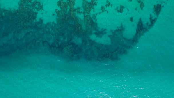 Veduta aerea drone del mare e della costa — Video Stock