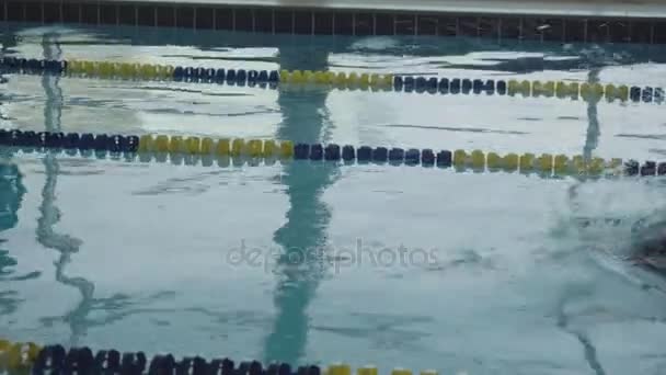 Entrenamiento de nadador masculino en la piscina. Deportes activos en el agua. Deportes acuáticos y competiciones de natación — Vídeos de Stock