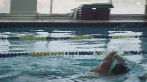 Addestramento nuotatore maschile in piscina. Sport attivi in acqua. Sport acquatici e gare di nuoto — Video Stock