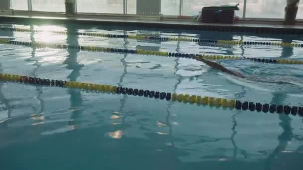 A treinar nadador masculino na piscina. Desportos ativos na água. Esportes aquáticos e competições de natação — Vídeo de Stock