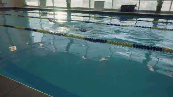 A treinar nadador masculino na piscina. Desportos ativos na água. Esportes aquáticos e competições de natação — Vídeo de Stock