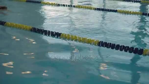 Sebuah kolam latihan untuk perenang. Kolam renang modern dan olahraga aktif. Air biru di kolam renang saat fajar — Stok Video