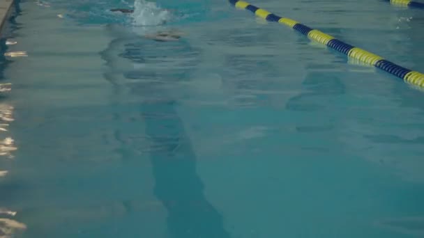 Berufsschwimmer im Becken. Aktivsport im Wasser. Olympiasieger im Schwimmbad — Stockvideo