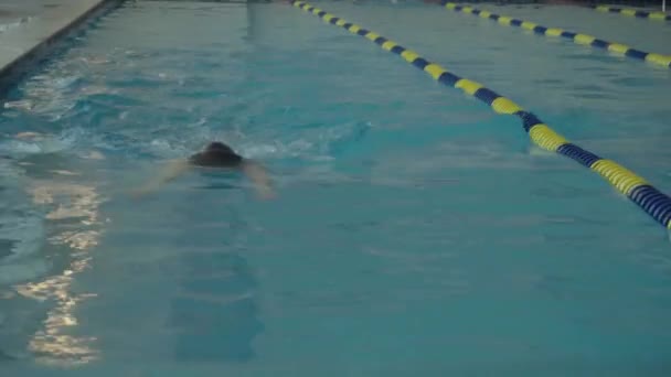 Berufsschwimmer im Becken. Aktivsport im Wasser. Olympiasieger im Schwimmbad — Stockvideo