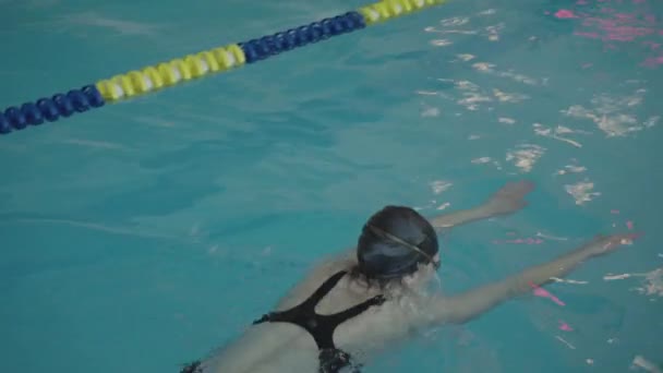 Профессиональный пловец в бассейне. Активные виды спорта в воде. Олимпийский призер в плавательном бассейне — стоковое видео