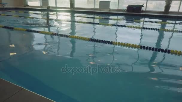 A treinar nadador masculino na piscina. Desportos ativos na água. Esportes aquáticos e competições de natação — Vídeo de Stock