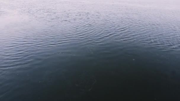 La texture de l'eau qui coule dans la rivière — Video