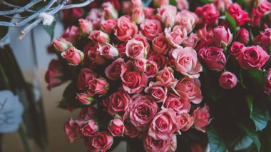 bir çiçek pazarında gül yakın çekim buketleri. Çiçek sergisi tasarımcısı gül buketleri. Kutlamak için çiçek hediyeleri